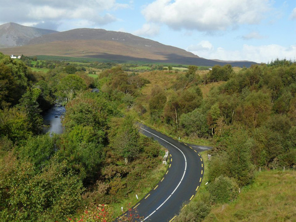 Bat Survey Ireland (25)