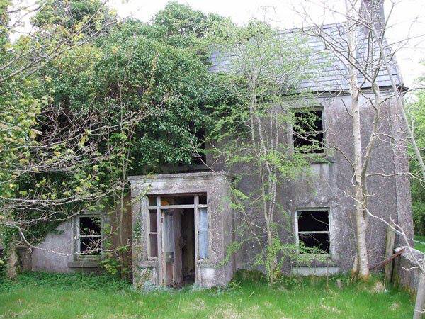 Bat Survey Ireland (28)