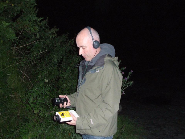 ECOFACT bat survey - contact us at +353 61 419477