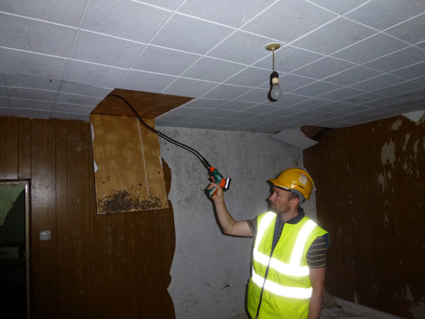 Bat Survey Ireland (44)