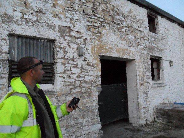 Bat Survey Ireland (6)