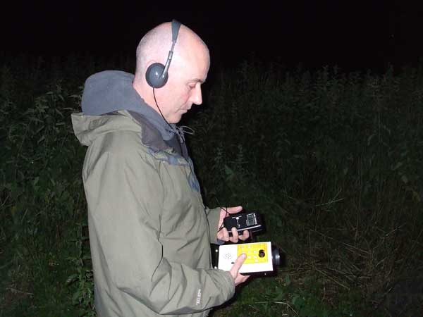 Bat Surveys Ireland (5)