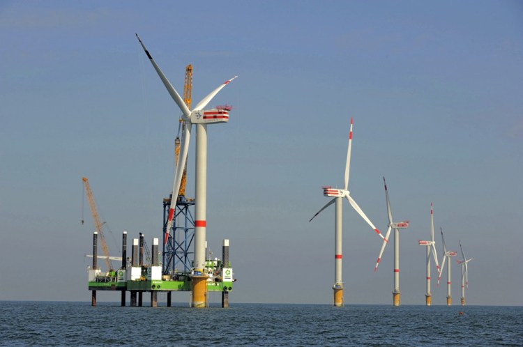 Bats-and-offshore-windfarms-3